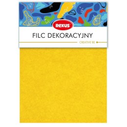 Zestaw szkolny filc kreatywny 10 el. Rexus (6040248)