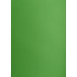 Brystol A3 zielony 160g 25k [mm:] 297x420 TOP-2000 (400150241)