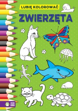 Książeczka edukacyjna Lubię kolorować. Zwierzęta Zielona Sowa