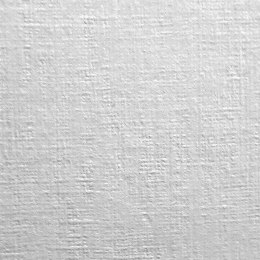 Papier ozdobny (wizytówkowy) A4 biały 246g Protos
