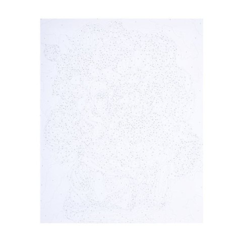 Zestaw plastyczny w Piwoniach Astra Artea (801022906)