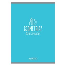 Zeszyt Geometria 9583352 A5 32k. gładki Herlitz (300023106)