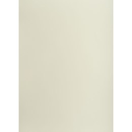 Brystol szary jasny B2 szary 225g 25k [mm:] 500x700 Creatinio (400150322)