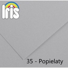 Brystol Iris 35 A4 popielaty 120g 100k Canson (200040034)