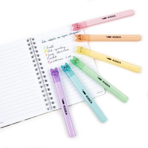 Flamaster 6 kol. Derform (FK6KKA)