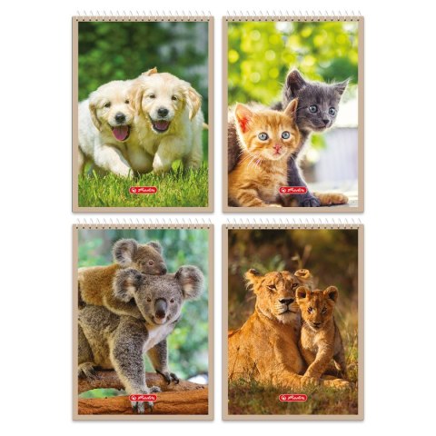 Kołozeszyt (kołonotatnik) Animals 9554437 A7 40k. krata Herlitz (400198703)