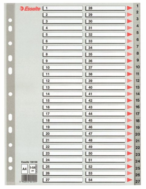 Przekładka numeryczna A4 szara 54k 1-54 Esselte (100109) Przekładka numeryczna A4 szara 54k 1-54 Esselte (100109)