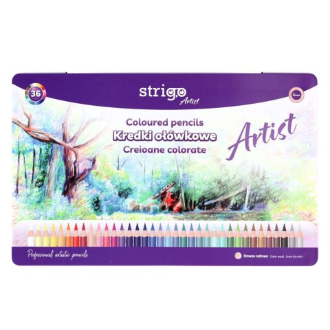 Kredki ołówkowe ARTIST 36 kol w op.metalowym 5905658810740 36 kol. Strigo (SSC538)