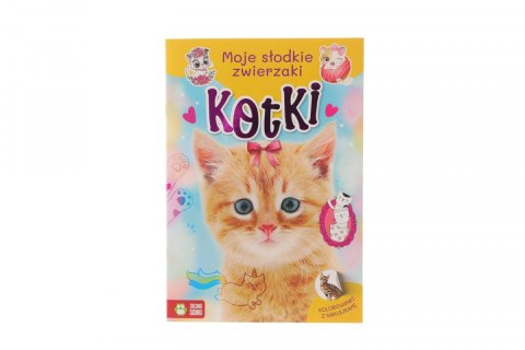 Książeczka edukacyjna Moje slodkie zwierzaki. Kotki Zielona Sowa Książeczka edukacyjna Moje slodkie zwierzaki. Kotki Zielona Sowa
