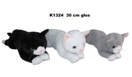 Pluszak kot 3 kolory z głosem [mm:] 300 Sun-Day (170767)