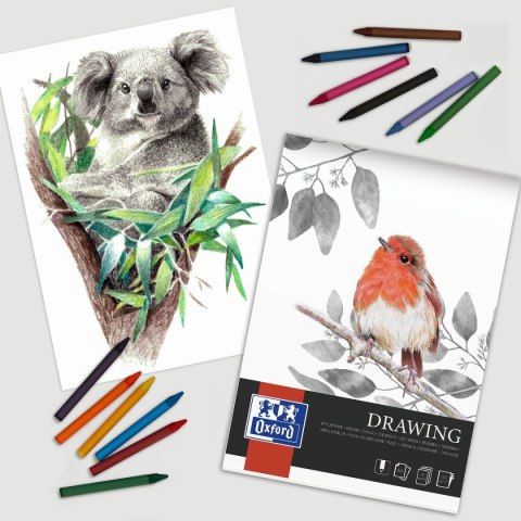 Blok artystyczny RYSUNKOWY A3 160g 40k Oxford (400166108) Blok artystyczny RYSUNKOWY A3 160g 40k Oxford (400166108)