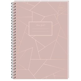 Kołozeszyt (kołonotatnik) B5 96k. 70g krata Interdruk (KOŁOZB5120MRG)