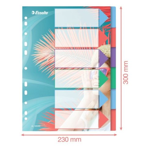 Przekładka czysta Colour Breeze A4 mix 6k Esselte (628499) Przekładka czysta Colour Breeze A4 mix 6k Esselte (628499)