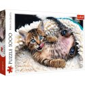 Puzzle Wesoły kotek 1000 el. Trefl (10448)
