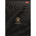 Zeszyt paradis A5 96k. linia Unipap Zeszyt paradis A5 96k. linia Unipap