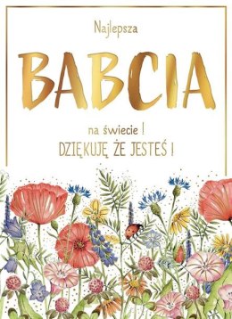 Kartka składana Karnet B6 BiDZ ŁAKA BABCIA B6 Henry (5905701487615)
