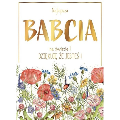 Kartka składana Karnet B6 BiDZ ŁAKA BABCIA B6 Henry (5905701487615) Kartka składana Karnet B6 BiDZ ŁAKA BABCIA B6 Henry (5905701487615)