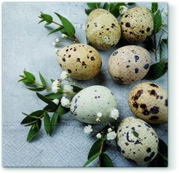 Serwetki Lunch WN mix nadruk bibuła [mm:] 330x330 Paw (SDL120603)