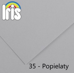 Brystol Iris 35 A3 popielaty 185g 50k [mm:] 297x420 Canson (200040214)