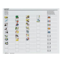 Kartoteka (pojemnik) na teczki wiszące Plus przezroczysty polistyren PS [mm:] 395x273x 170 Leitz (19930303)