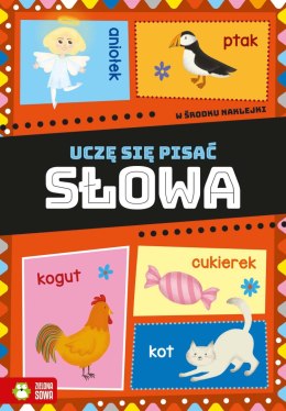 Książeczka edukacyjna Uczę się pisać. Słowa Zielona Sowa