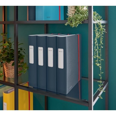 Segregator dźwigniowy Cosy Active A4 50mm szary Leitz (10390089)