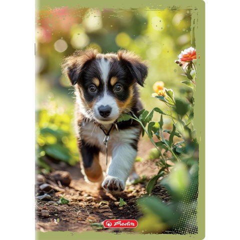 Zeszyt Animals A5 16k. 70g gładki Herlitz (400196854) Zeszyt Animals A5 16k. 70g gładki Herlitz (400196854)