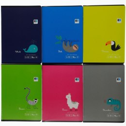 Zeszyt Black & Blue KIDS TROPIC A5 32k. 90g linia Interdruk (ZE32K=BBT)