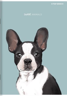 Zeszyt SWEET ANIMAL A4 60k. 70g krata Top 2000 (400169501)