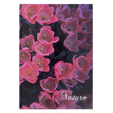 Brulion Nature A4 96k. 55g linia Office Products (16034111-99) Brulion Nature A4 96k. 55g linia Office Products (16034111-99)