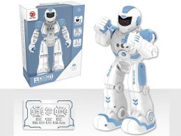 Robot na radio Adar (586406)