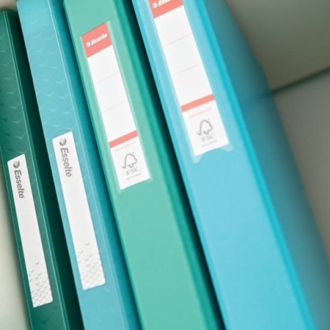 Segregator ringowy Colour Breeze A4 25mm zielony Esselte (626498) Segregator ringowy Colour Breeze A4 25mm zielony Esselte (626498)