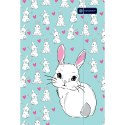 Teczka kartonowa Girls style Astrapap Teczka kartonowa Girls style Astrapap