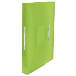 Teczka z przegródkami Vivida A4 kolor: zielony 6 przegródek [mm:] 330x260 Esselte (624019)