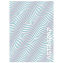 Zeszyt A5 60k. krata Astrapap (102023015)