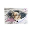 Blok rysunkowy The Sweet Pets A4 biała 80g 20k [mm:] 296x210 Beniamin