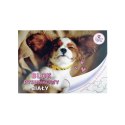 Blok rysunkowy The Sweet Pets A4 biała 80g 20k [mm:] 296x210 Beniamin