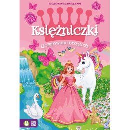 Książeczka edukacyjna Księżniczki. Zaczarowane przygody Zielona Sowa