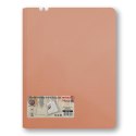Teczka ofertowa MORANDI różowy A4 kolor: różowy 40 kieszeni Mobi (TT8944)