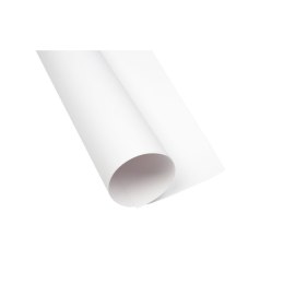 Brystol A1 biały 160g [mm:] 610x860 TOP-2000 (400149520)