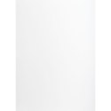 Brystol A1 biały 160g [mm:] 610x860 TOP-2000 (400149520)