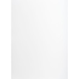 Brystol A1 biały 160g [mm:] 610x860 TOP-2000 (400149520)