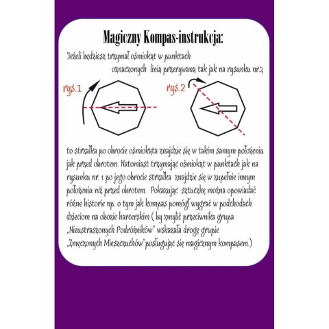Gra edukacyjna magiczny kompas Abino Gra edukacyjna magiczny kompas Abino