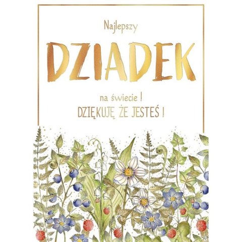 Kartka składana Karnet B6 BiDZ LAS DZIADEK B6 Henry (5905701487592) Kartka składana Karnet B6 BiDZ LAS DZIADEK B6 Henry (5905701487592)