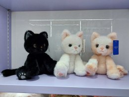 Pluszak kot, mix kolorów Adar (596818)