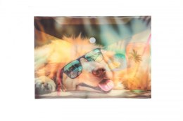 Teczka plastikowa na guzik CHILLOUT CAT A5 mix Panta Plast (0410-0069-53)
