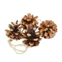Ozdoba świąteczna szyszki naturalne Arpex (BN4138)