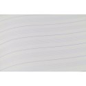 Zeszyt do nut A4 16k. 70g [mm:] 295x205 Rexus (607371)