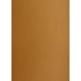 Brystol brązowy B2 brązowy 225g 25k Creatinio (400150328)