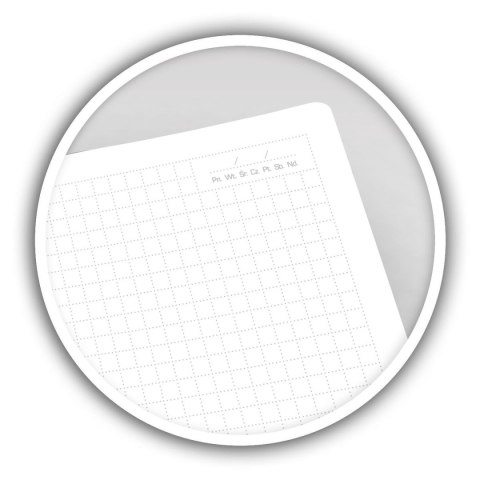 Notes (notatnik) HANDY A5 80k. krata Top 2000 (400158941)